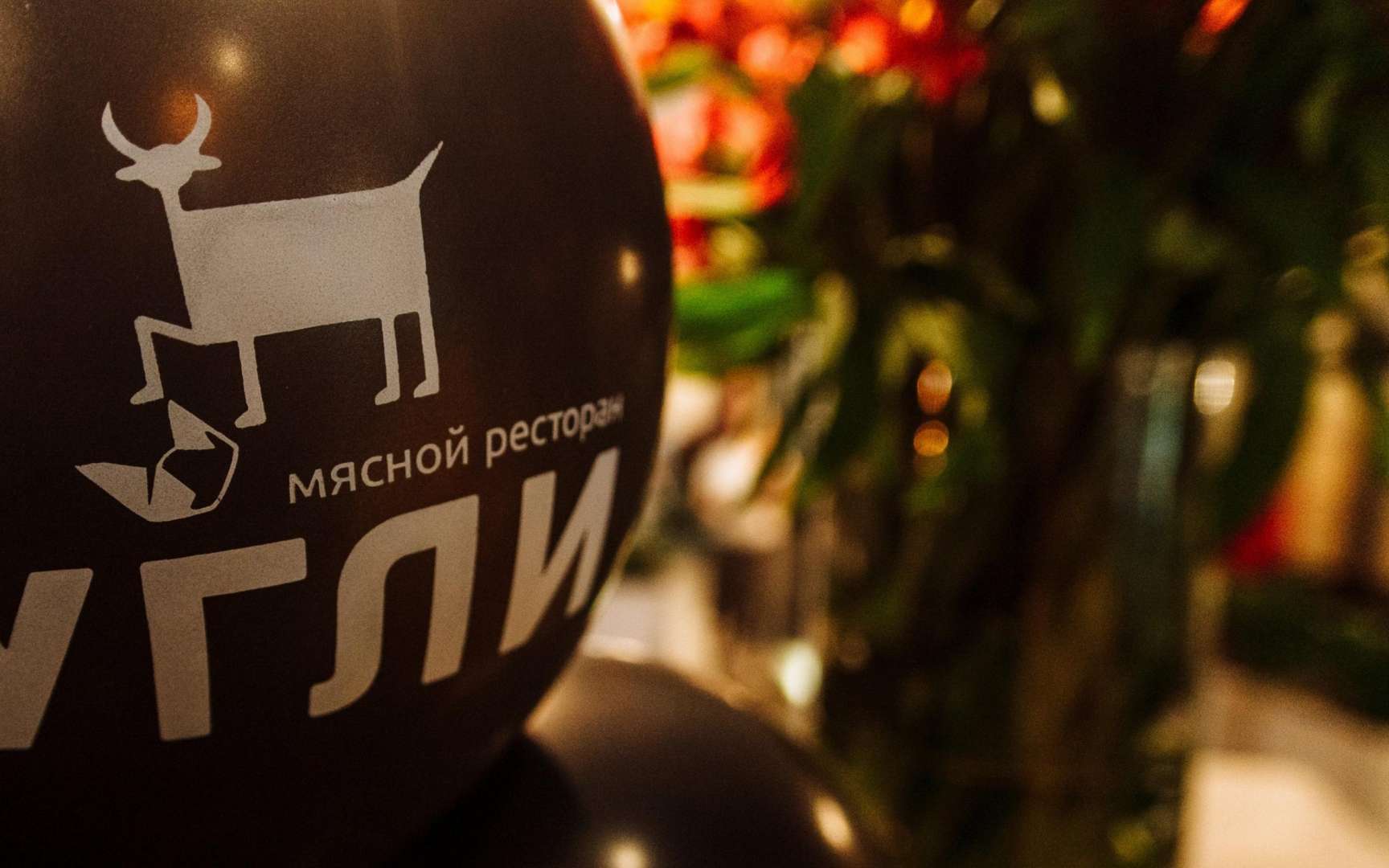Угли екатеринбург сибирский. Ресторан угли логотип. Кафе угли Альметьевск. Угли Екатеринбург логотип. Угли ресторан Екатеринбург туаелет Сибирский тракт.