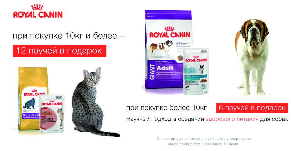 Купить Корм Магазин На Фучика